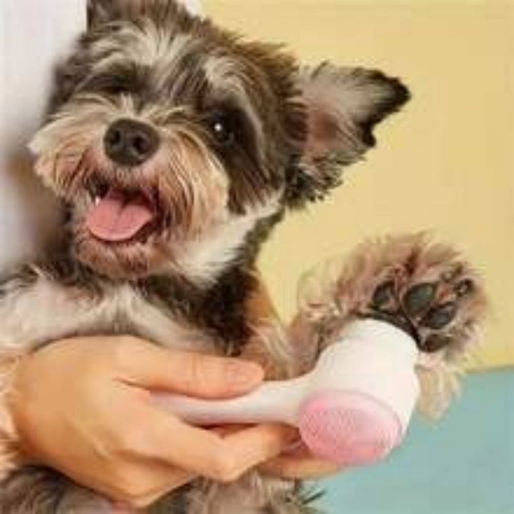 Easy Clean Nylon Pet Paw Brush Gentle Grooming