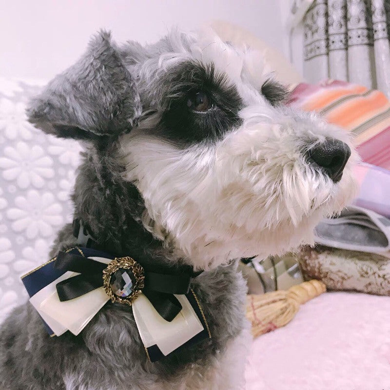 Rabbit Baby Little Gentleman Flower Collar