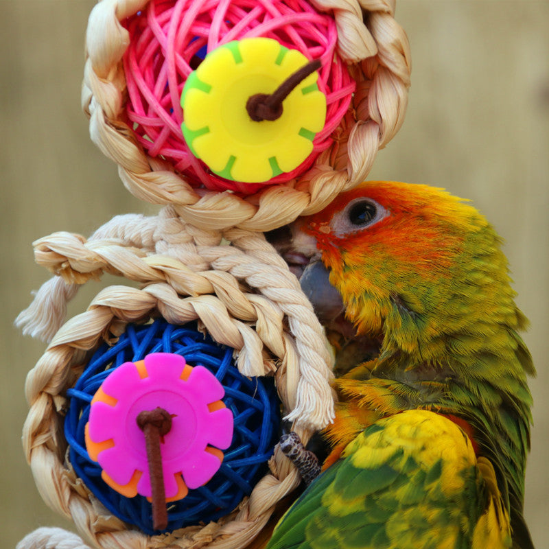 Parrot Supplies Pet Bird Toy Bite Toy