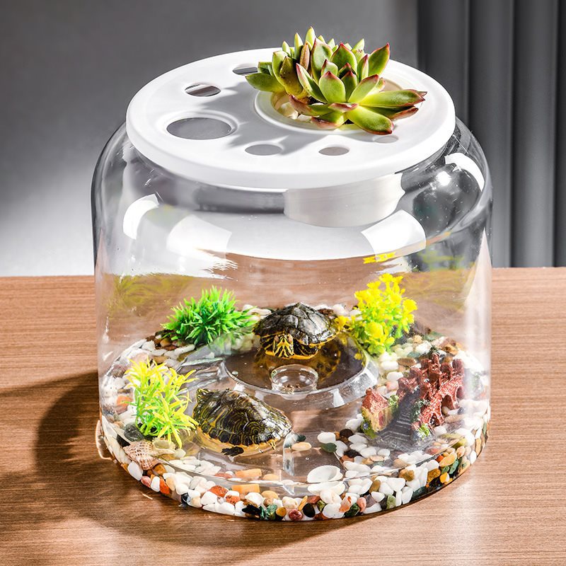 Transparent Plastic Ecological Desktop Fish Tank