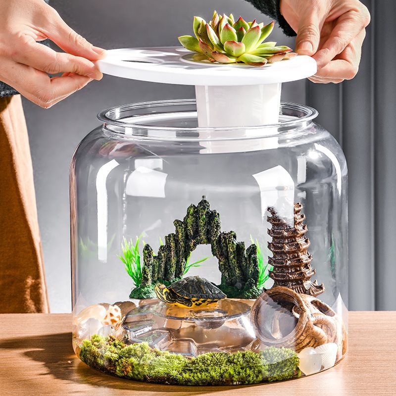 Transparent Plastic Ecological Desktop Fish Tank