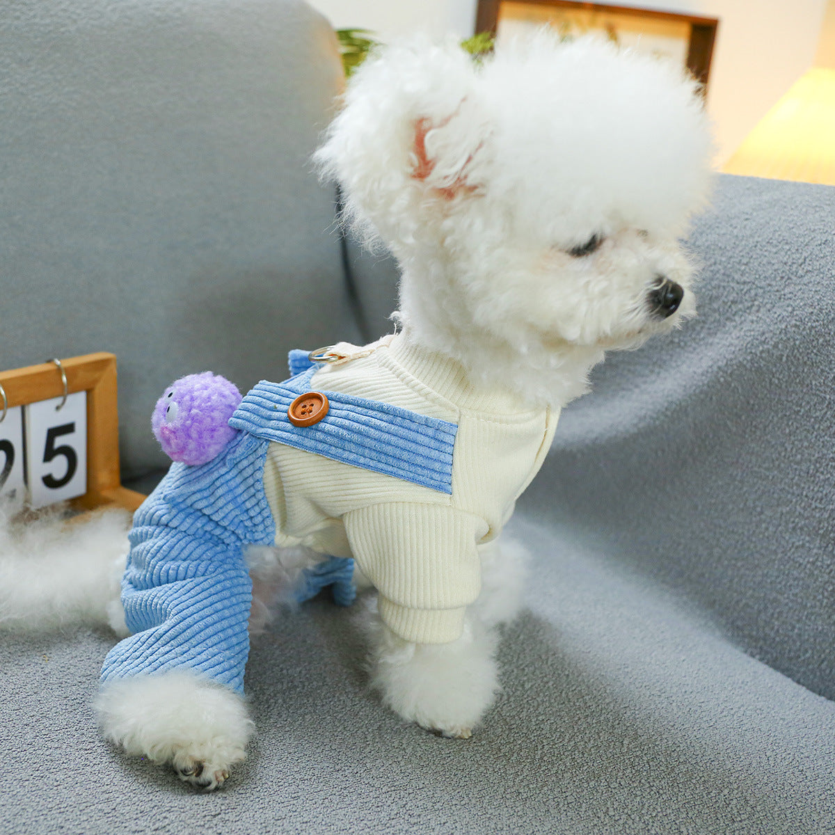 Pet Clothes Dog Cat Clothing Clothing