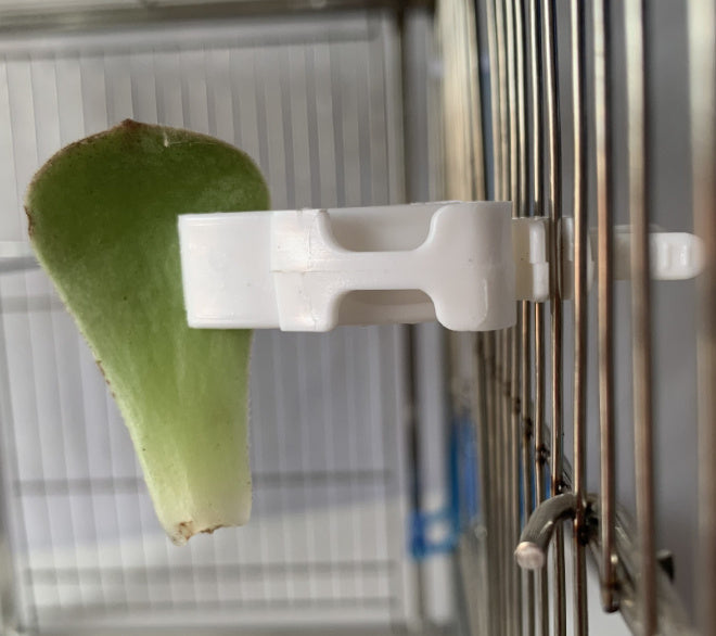 Parrot Fruit Basket Bird Supplies Feeder