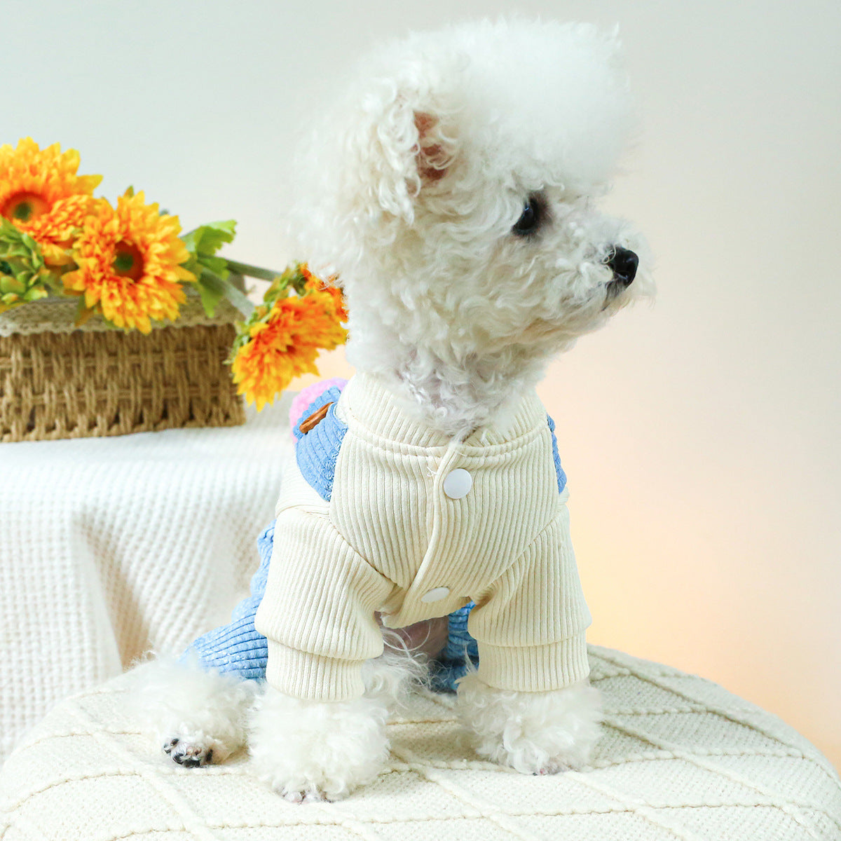 Pet Clothes Dog Cat Clothing Clothing