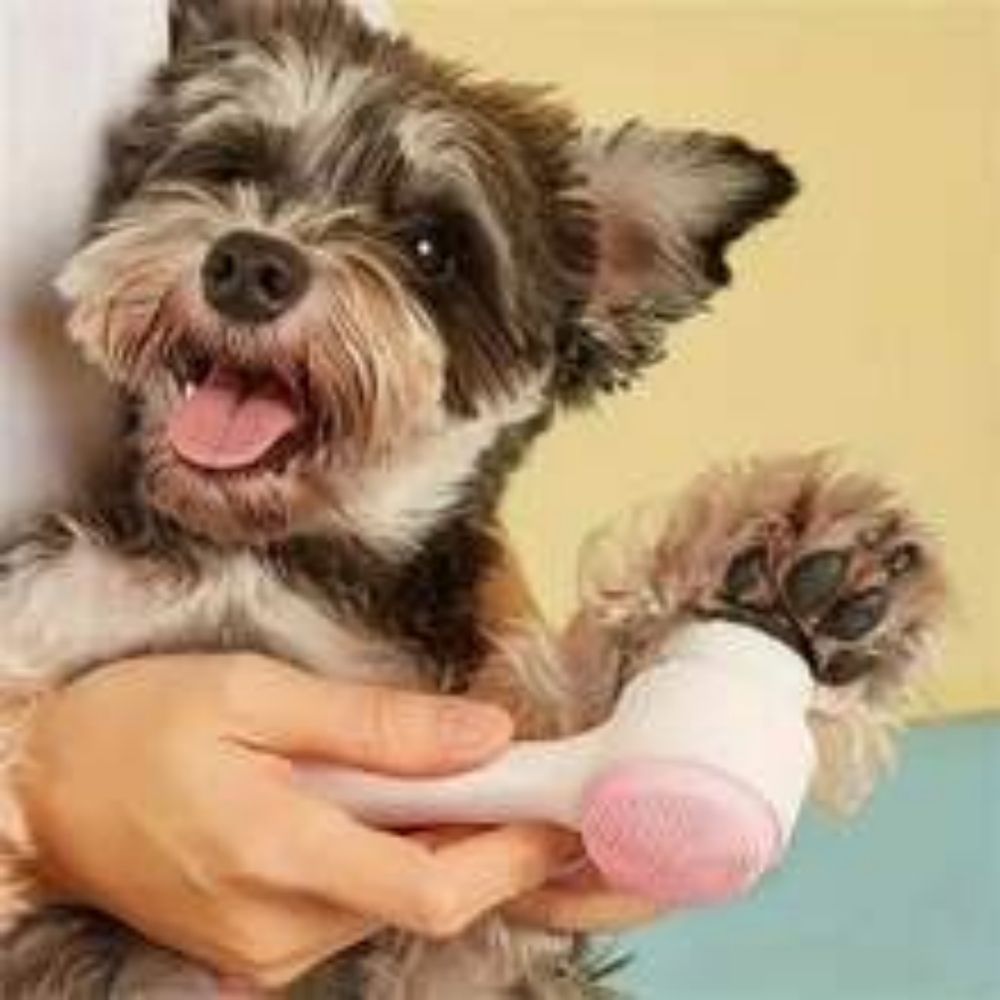 Easy Clean Nylon Pet Paw Brush Gentle Grooming